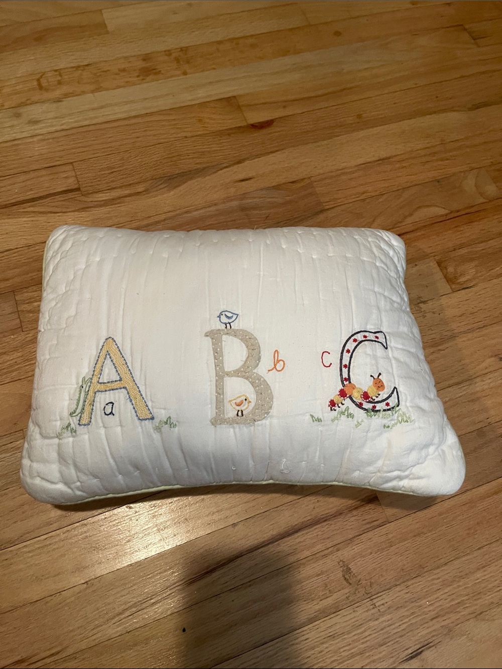 Pottery barn kids throw pillow